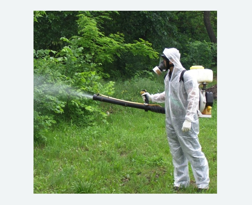 обработка территории от клещей в Братеево города Москвы