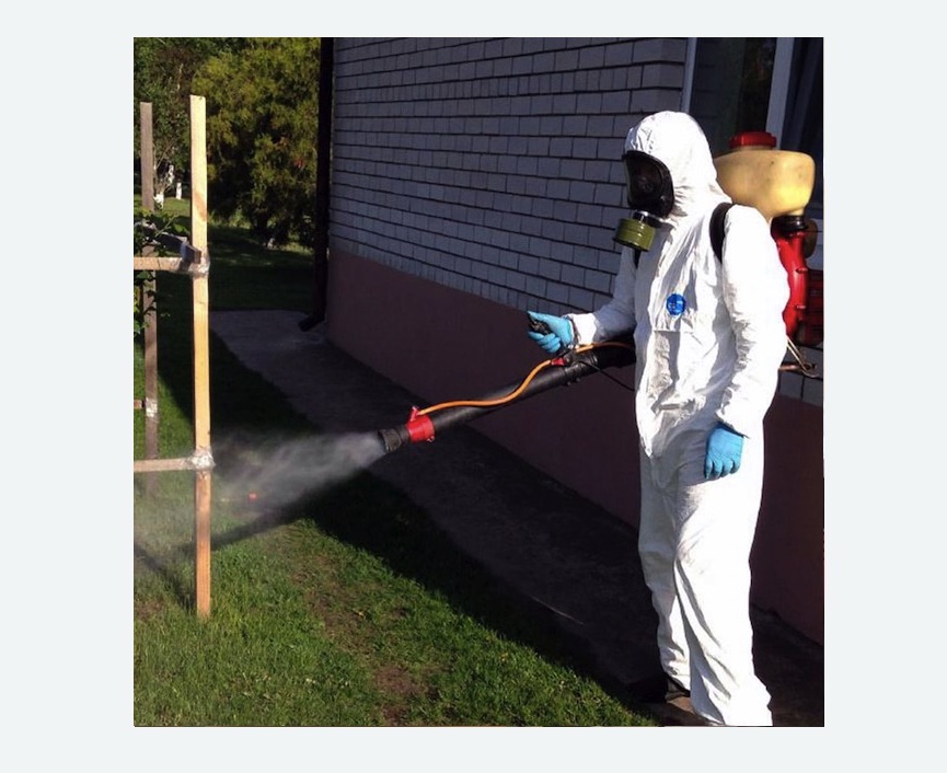 травля клещей на участке в Братеево города Москвы