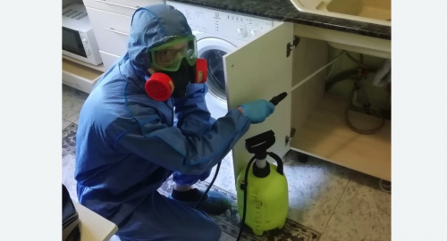 Уничтожение муравьев в квартире. Братеево