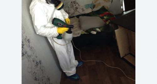 Обработка квартир от насекомых в Братеево города Москвы