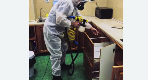 Дезинсекция квартиры. Братеево