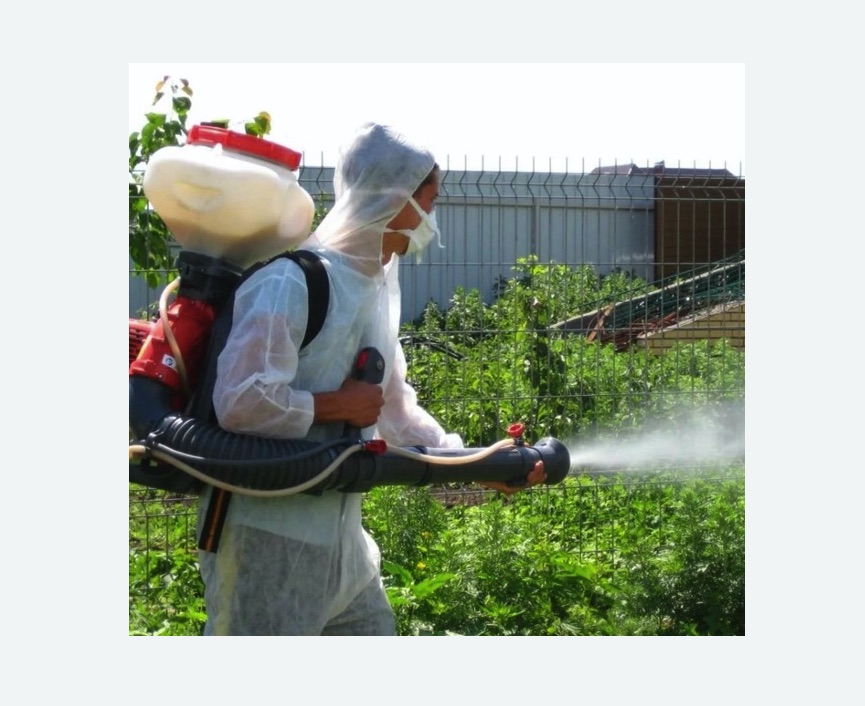 Акарицидная обработка территории в Братеево города Москвы