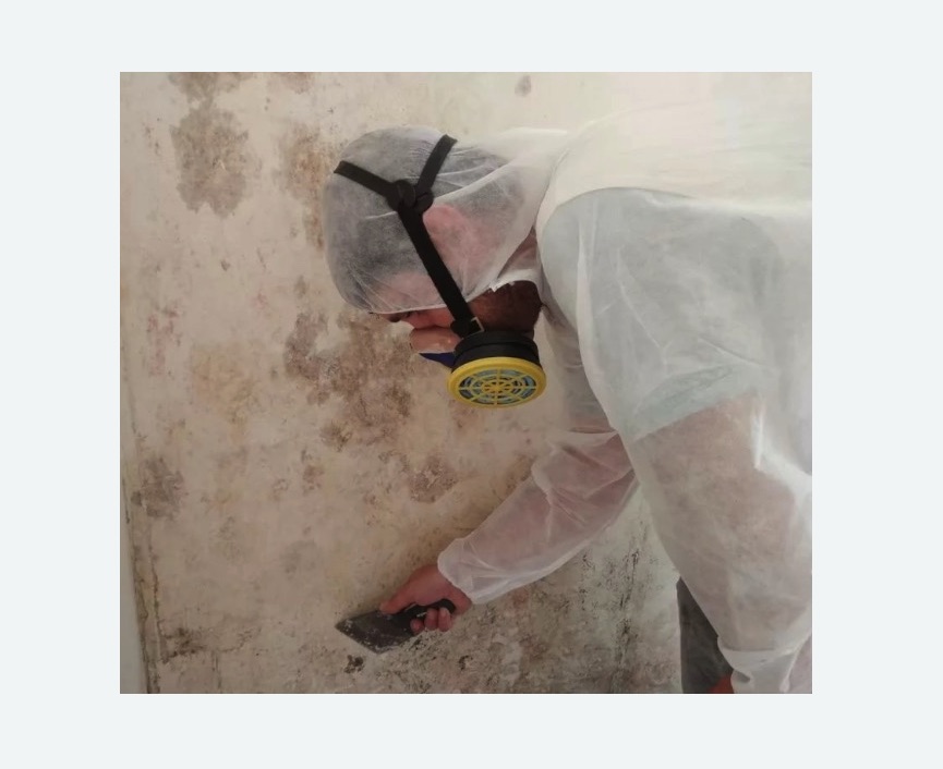 Обработка стен от плесени в Братеево города Москвы