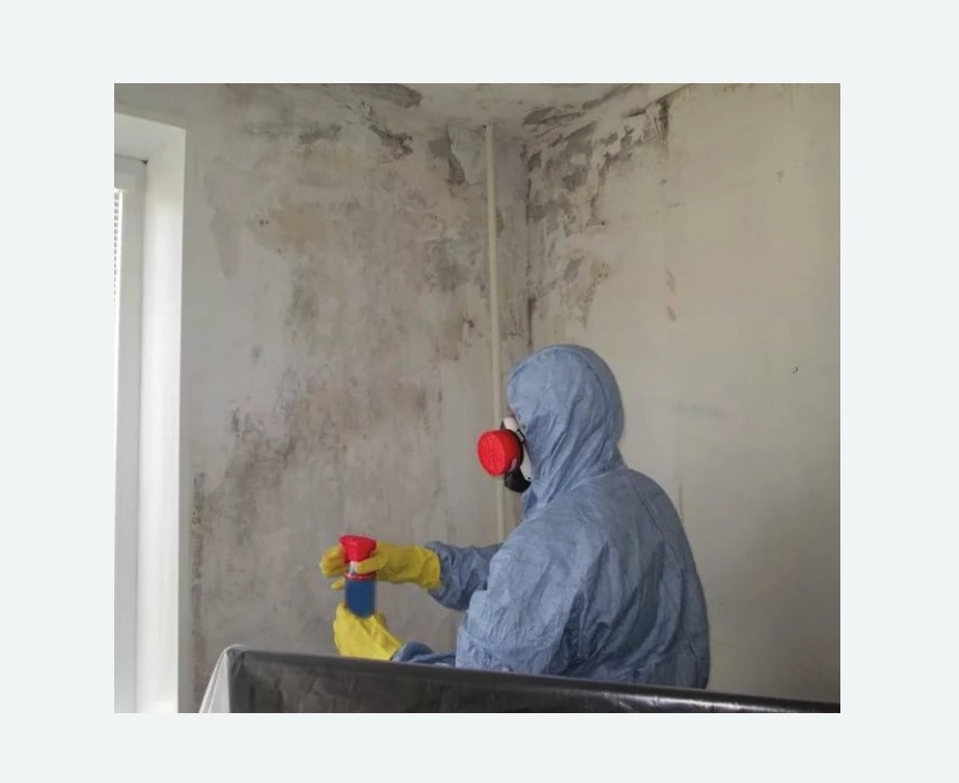 Удаление плесени в квартире в Братеево города Москвы