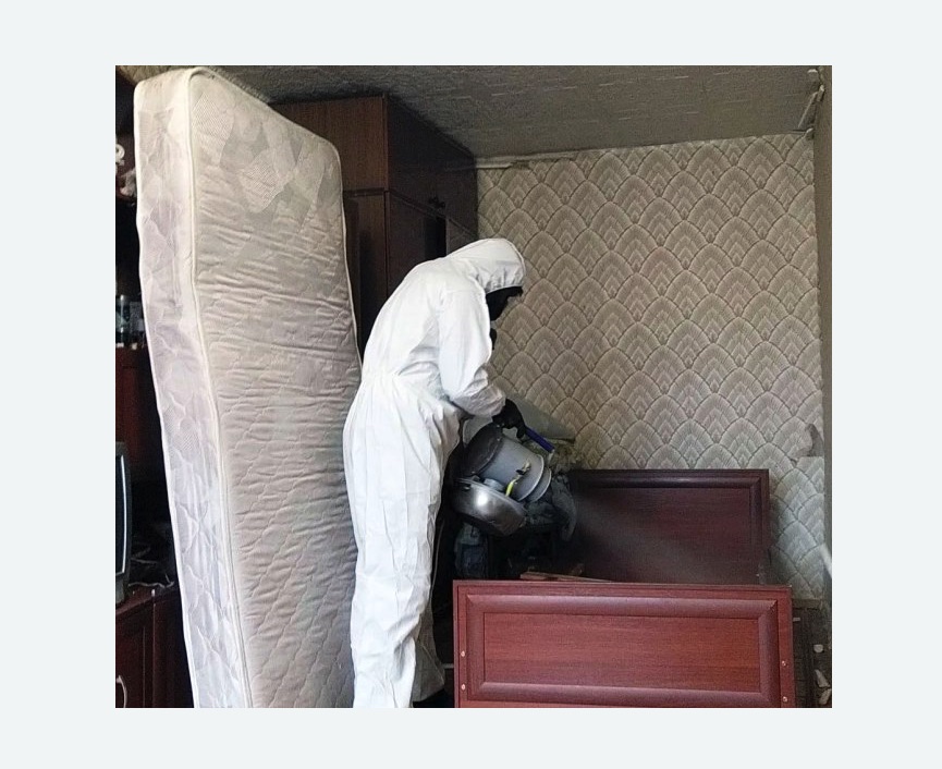 дезинфекция от клопов в Братеево города Москвы