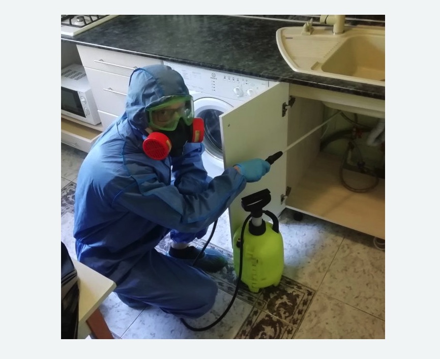 обработка от муравьев в квартире в Братеево города Москвы