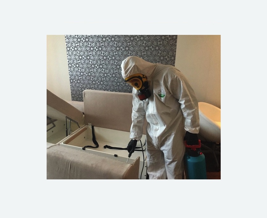 уничтожение клопов в квартире в Братеево города Москвы