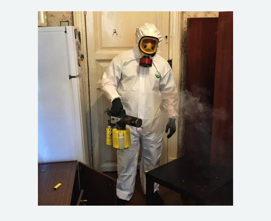 уничтожение муравьев в квартире в Братеево города Москвы